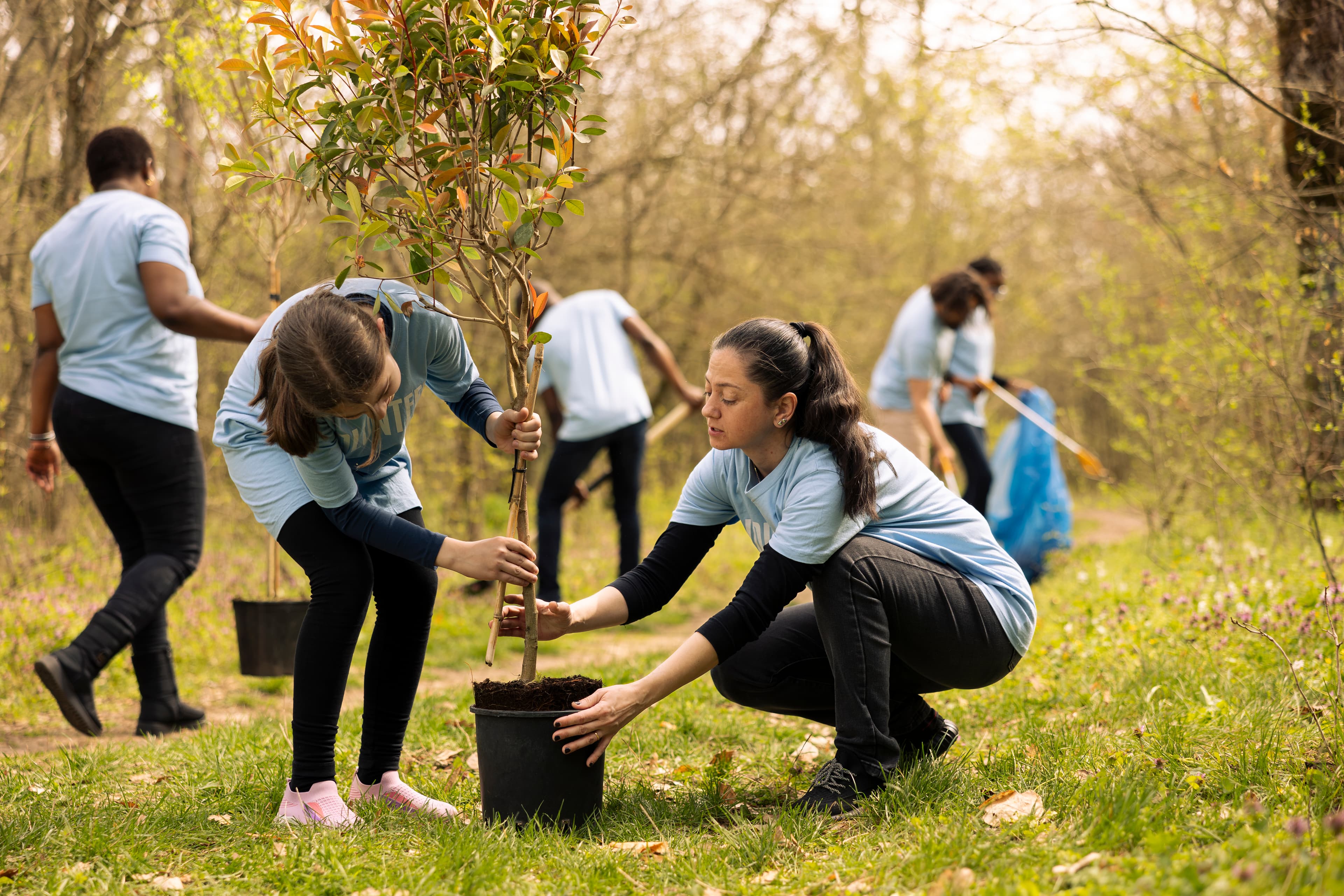 Sustainability Lab